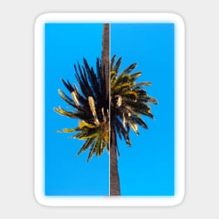 Flipped palm tree Sticker